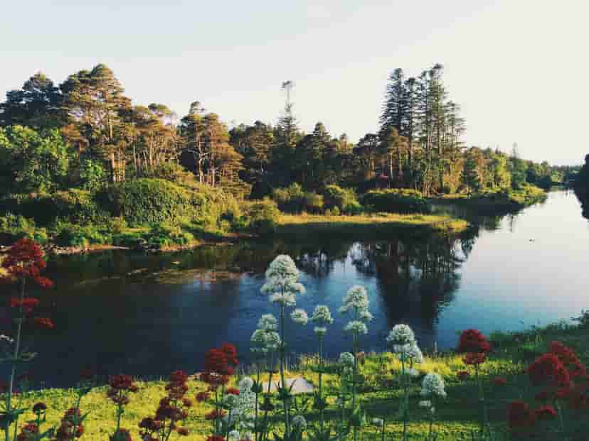 August Bank Holiday 2024 and 2025 BankHolidays.ie